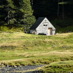 P1030112 (Copier)